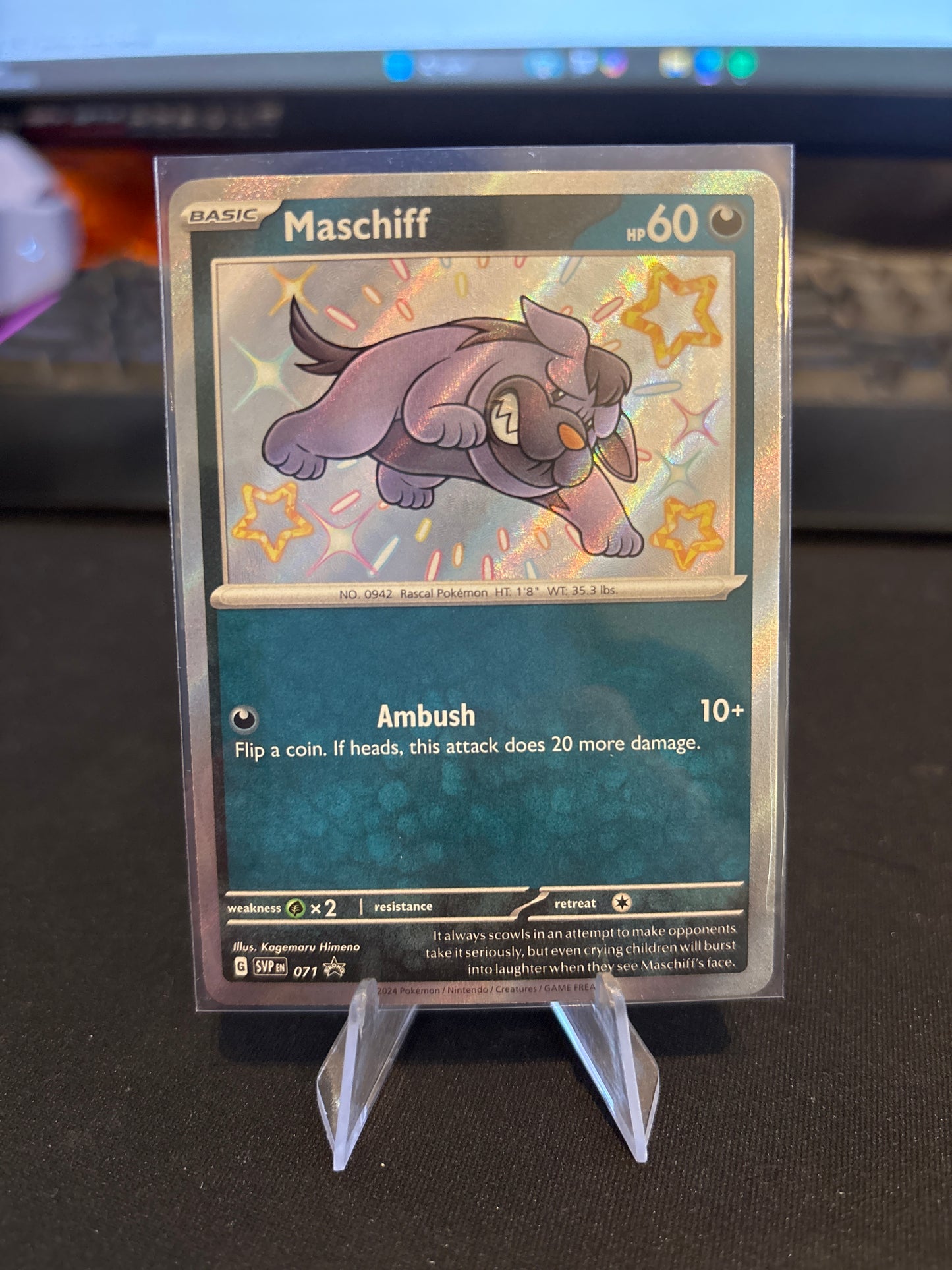 Maschiff Promo #071