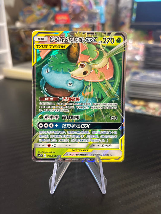 Venusaur & Snivey GX Tag Team #1 - Chinese