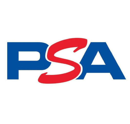 PSA Express Grading (45 Day)